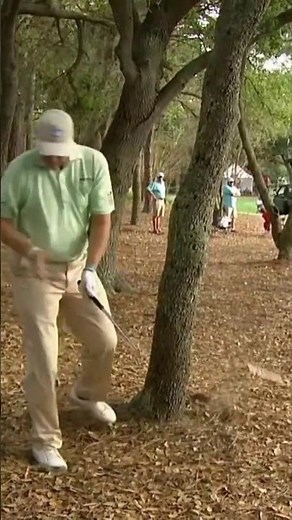 Ernie Els SNAPS Wedge On Slam Dunk 😱