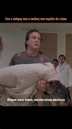 onemanstories | the man behind on Instagram: "Δεν είναι απλά ένας σκύλος. Είναι οικογένεια 26/8 ΠΑΓΚΟΣΜΙΑ ΗΜΕΡΑ ΣΚΥΛΟΥ 🫶🏽"