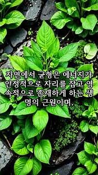 자연과 과학 5 : 특수상대성 이론을 기하학으로 다시 읽다 2편 최종