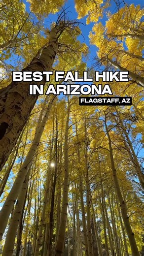 The Aspen Nature Loop Trail in early fall feels like something straight out of a Studio Ghibli movie. If we had to describe this hike in one word, ABSOLUTELY STUNNING. The aspens during early fall are 1000% worth the trip to Flagstaff. The trailhead is located within the Arizona Snowbowl ski resort and can be accessed from Lot 1, one of the lower parking lots near the entrance off Snowbowl Road. You can also just type “Aspen Nature Loop Trail” into Apple Maps, it’ll take you directly to the trai