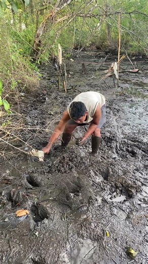 Real Fish Farm Life the Countryside#shorts