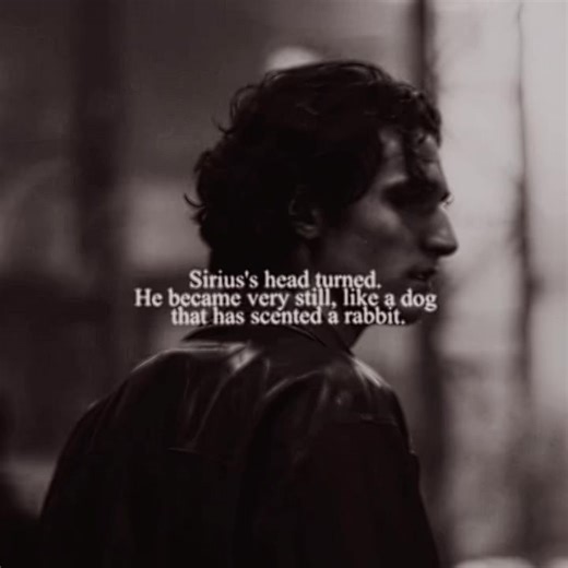 Marauder Era Rivalry: Snape and Sirius Conflict