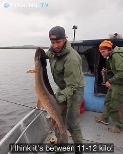 1.8K views · 30 reactions | Who's been Pike fishing the winter? Tell us your biggest catches below... Here's some inspiration from our new upload 'Big Fish Stories Alaska' Follow the link https://www.fishingtv.com/video/big-fish-stories-alaska/ #fishing #fishingtv #fishingfilm #fishingmovie #bigfishstoriesalaska #pike #pikefishing #bigpike #alaskafishing | Fishing TV | Facebook