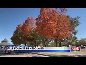 Which city, state parks have the best fall trees?