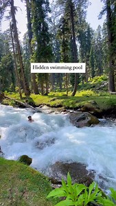 This hidden swimming pool is just 30km away from Srinagar come and beat the heat 🎯 . . . . . . . . . . #swimming #swimingpool #doodhpathriswimingpool #Kashmir #beattheheat #jungleswimmingpool #swimingpool #jungleswimingpool #waterjumping #flip #pool #temperature #igreach | Hadi imraan