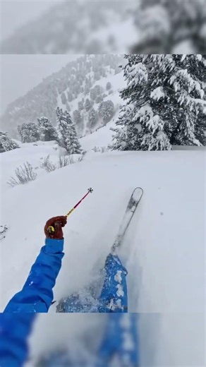 Japan 🇯🇵 Snow on BC 🇨🇦 Terrain at Les 3 Vallées 🇫🇷 #skiing #france #powder