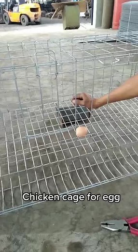 #chicken#cage#egg#bending#machine#wire#mesh#tiktok#feeding