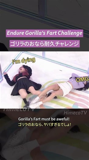 ゴリラの放屁を耐えるチャレンジ 💨🦍😱