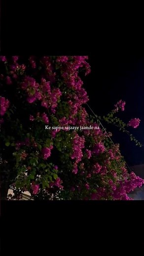 Barsaat (Lyrics) - Banjaare | ✨Aesthetic Lyrics Video #song #lyrics.