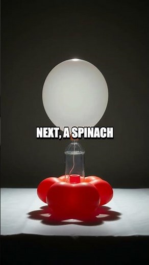 Uncovering Hidden At-Home Experiments: DNA Clues, Pigment Paths, and Light Tricks