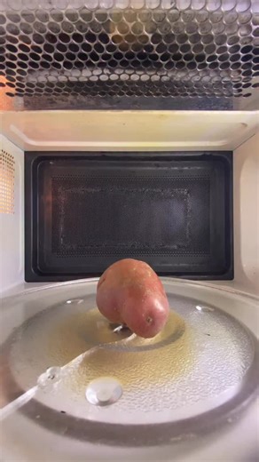 Mrwaves on Instagram: "Potato dance in microwave #microwave #experiment #science #potato #satisfying"