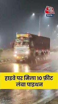 Kota: हाइवे पर मिला 10 फ़ीट लंबा पाइथन! #shorts #aajtak #viral