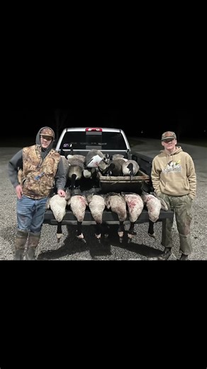 Enjoying Goose Hunting Adventures in Illinois