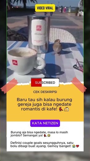 Viral! Sparrow Couple on Romantic Date at Cafe! 🐦✨ #shorts #viralnews