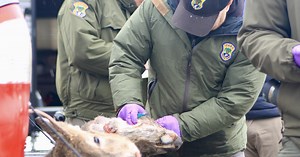 Chronic Wasting Disease - Where Samples Are Needed