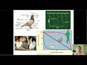 Selection (Part 1) - Fitness, Selection, & Selection Pressures