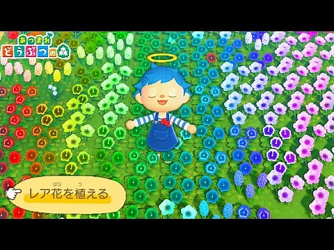 友達の島のしょぼい花をレア花にすり替えたら気づかれるのか!?【あつ森】【あつまれどうぶつの森ドッキリ】