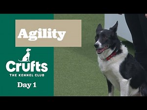 Agility – Crufts Novice Cup Final (Agility) Part Three | Crufts 2025