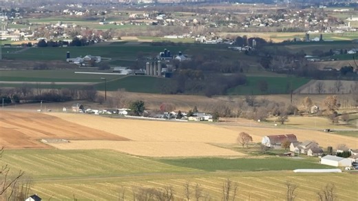 Lancaster County Chooses Love on Reels