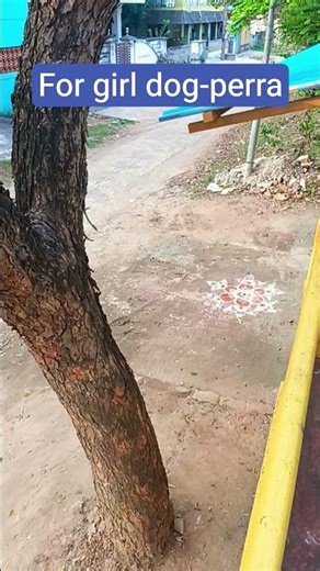 #unit 1 lesson 2 word 1