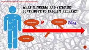 Calcium is a chemical element of the second group and the fourth period, with an atomic number of 20 and an atomic mass of 40.078. Calcium is called differently in different languages, but in Latin its name is Calcium. Calcium has many isotopes (from Ca-34 to Ca-58). Many of them are artificial radioactive with a half-life of less than 1 second. Calcium has 5 stable isotopes, the most abundant being Ca-40 (96% in abundance). Of the radioactive isotopes, Ca-48 is considered the longest-lived, wit