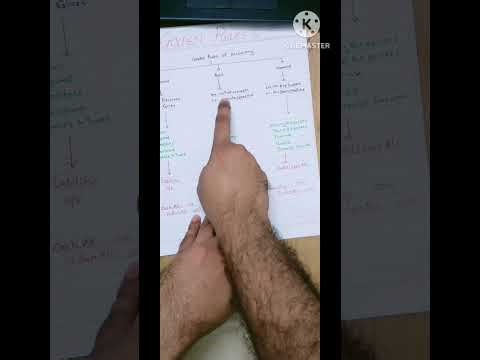 Golden Rules of Accounting | Easy Explanation with Examples | PenNPencil