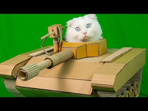 DIY - Amazing Cardboard Tank Kitten Cat House - Meow Pi