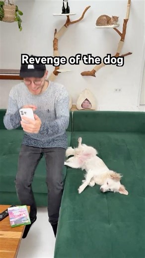 revenge is sweet 2 😈 #dog #comedy #meme