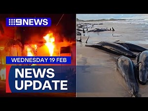 Two killed in Sydney house fire; Over 150 whales stranded on Tasmanian beach | 9 News Australia