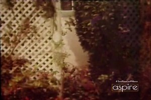 Room 222 (1969) - Complete Season 5