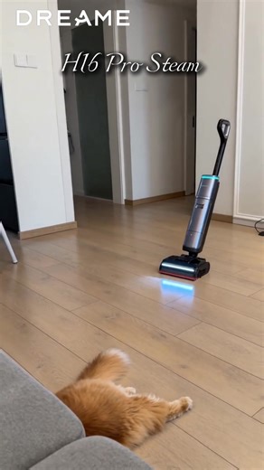 Dreamewet: Astonishing Compact Steam Cleaner