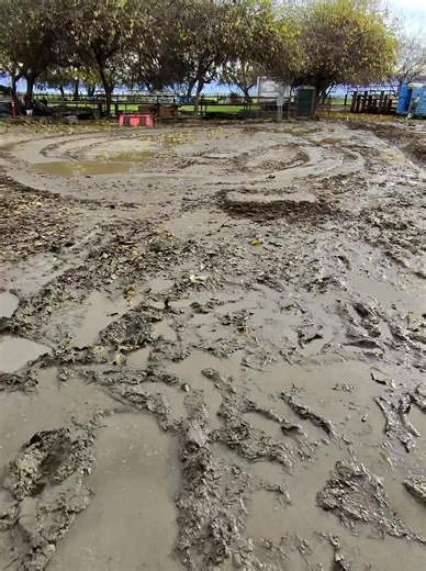 Experimenting with Ray-Ban Meta Glasses POV