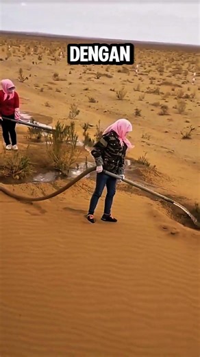 Bukan sihir! Dengan pola kotak-kotak ini, badai pasir mematikan bisa dihentikan. #shortvideo