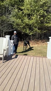 1K views · 13 reactions | Classic Composite Series Rail System by TimberTech #cclhomescapes #deckingideas #capecodlumber #construction #deckbuilding #southshorema | Cape Cod Lumber Company, Inc. | Facebook