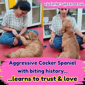 3.6K views · 117 reactions | Valentine's Week Special: REMARKABLE...