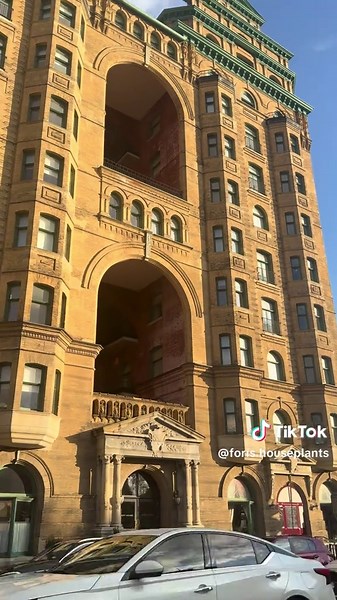 foris h (@foris.houseplants)’s videos with оригинальный звук - ✵𝐷𝑈𝑍𝑈𝑁𝐸✵𝑇𝐴𝐿𝐼𝑊✵