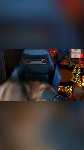 AiiyGatorZ Sees How Many She Can Fit!