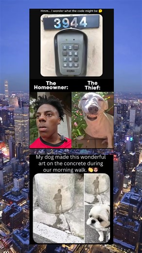 37 reactions | I wonder what the code might be | Meme Mix Daily | Facebook