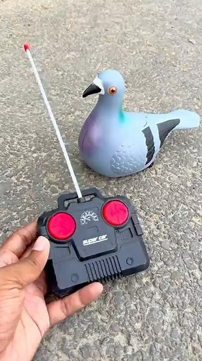New paro remote control | RC Bird