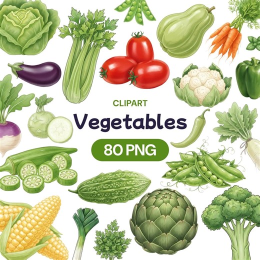 Vegetable Clipart, Watercolor Veggie PNG, Garden Produce, Healthy Food, Salad Ingredient, Vegan Kitchen Art, Farm Market, Corn Tomato - Etsy