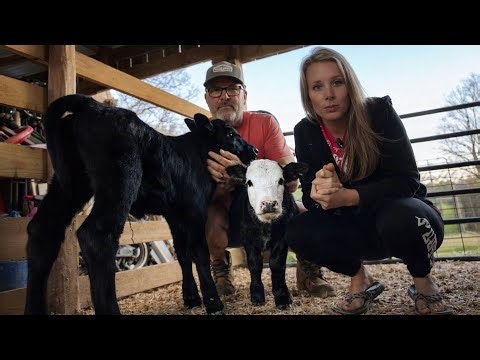 A Full Day of Farm Life… And Twin Calves That Need Us 24/7!