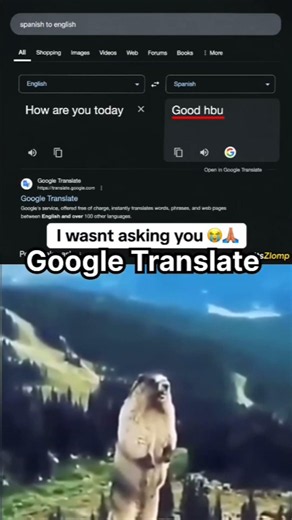 Google Translate Got WAY Too Friendly 😂💀 #shorts