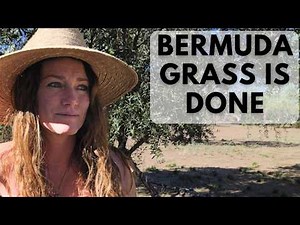 Safely Kill Bermuda Grass in Flower Beds & Vegetable Gardens Without Ruining Your Soil