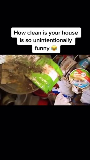 Kim Woodburn and Aggie How Clean Is Your House 2000s UK TV Show