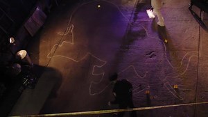 96 elephants are killed in Africa every day for their ivory. We must take a stand to stop the ivory trade. | 96 Elephants