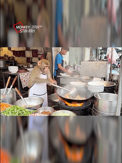 Fun Monkey Stir-Fry Recipe from China