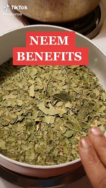Discover the Health Benefits of Neem Tea