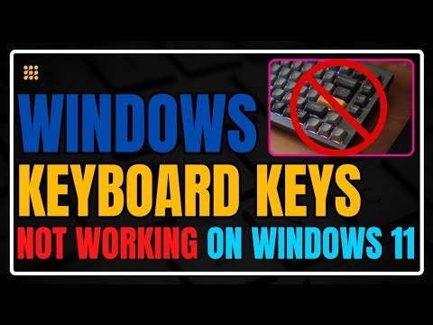 Solve Keyboard Problems on Windows Instantly 🚀 Keys Not Responding Fix