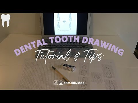 TUTORIAL: DENTAL TOOTH DRAWING | Helen Do