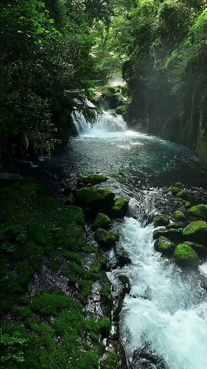 4K Free Stock Footage – Waterfall & Mountain Stream | No Copyright Nature Video